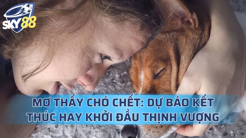 Mơ Thấy Chó Chết: Dự Báo Kết Thúc Hay Khởi Đầu Thịnh Vượng Mơ Thấy Chó Chết